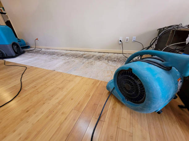 Reliable Basement Flood Cleanup contractor in McLean, TX by Hirex Water Damage
