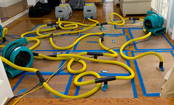 Professional Basement Flood Cleanup technician working in McLean, TX